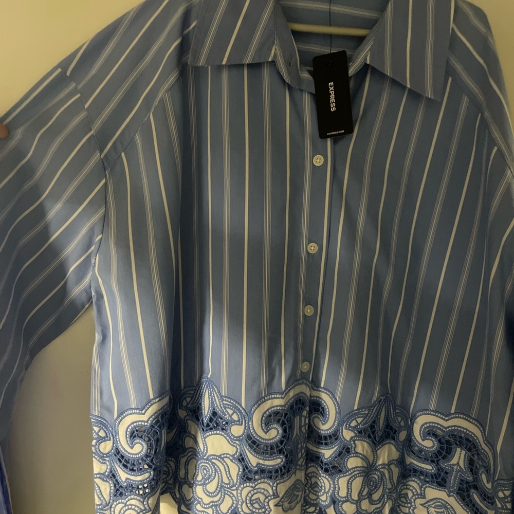 Express Blue Striped Men's Shirt